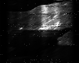 ascat_grayscale_ch4.png
